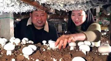 “脱贫之星”李清海的“大梦想”