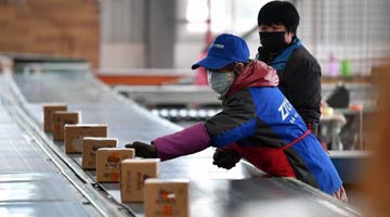 补齐农村电商短板 助推农产品出村入城