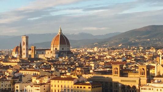 感悟佛羅倫斯/白頭翁