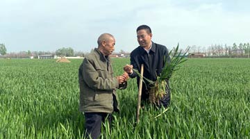 全国人大代表党永富：手中捧沃土 心中有大局