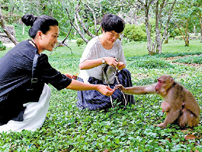 生态环境部：﻿“十三五”生态九大指标超额完成