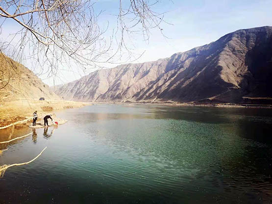 黃河寧夏中衛段驚現「翡翠黃河」