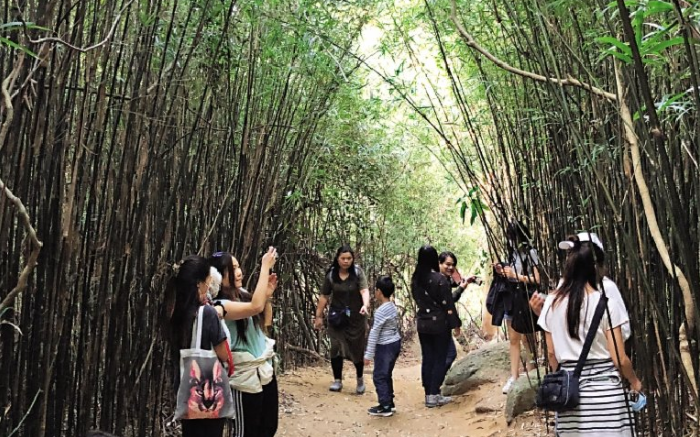 重新發現　香港山林之美