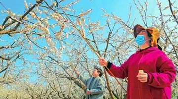 姹紫嫣红 春满中原