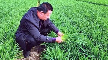 春耕春管正当时