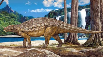 河南首家国家级自然博物馆成立