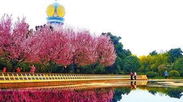 春日晴方好 踏青正当时