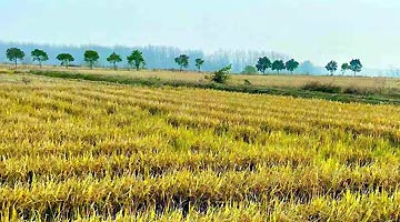 以新理念新举措推动农业提质增效