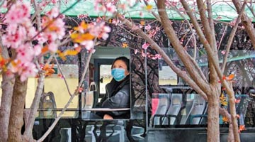 乘着公交去赏花