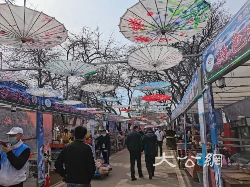 伊犁兩處最美杏花觀賞地節慶活動先後開啟 拉開伊犁賞花之旅序幕