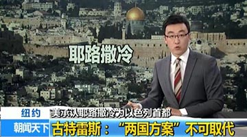 拜登再度推翻特朗普政策 支持巴以“两国方案”