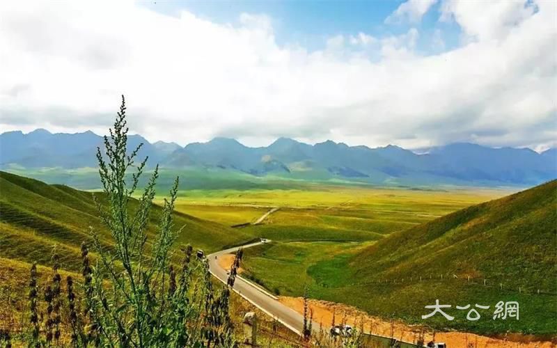 新疆5地上榜！快來為家鄉打CALL