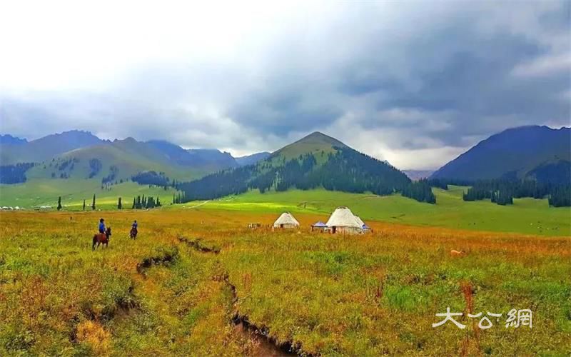 新疆5地上榜！快來為家鄉打CALL