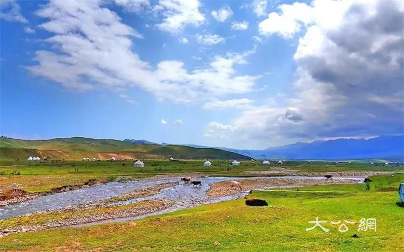 新疆5地上榜！快來為家鄉打CALL