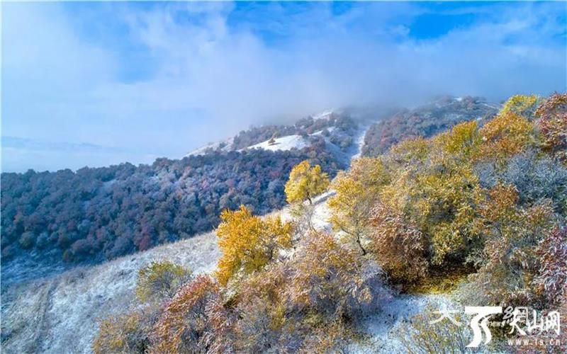 新疆5地上榜！快來為家鄉打CALL