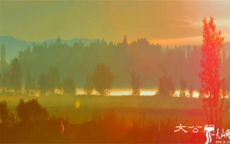 新疆5地上榜！快來為家鄉打CALL