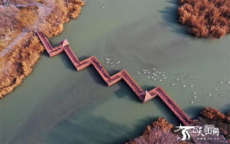 新疆5地上榜！快來為家鄉打CALL