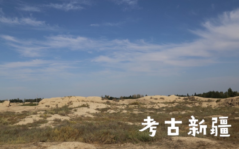 考古新疆  达勒特古城考古散记（上）