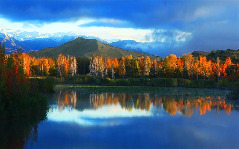 阿勒泰夏季旅游宣传片