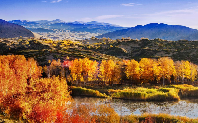 壮美兵团 红色之旅