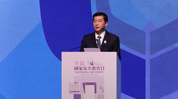 骆惠宁：国安法和完善选制是守护香港的“利剑”和“坚盾”