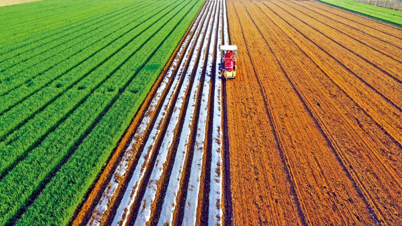 廿四節氣/穀雨農事忙