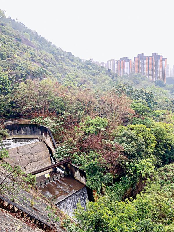 就近行山/沈雲山忙裏偷閒