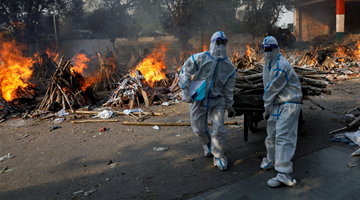莫迪家人逝世，病毒不断变异，美迟运疫苗害了自己人?