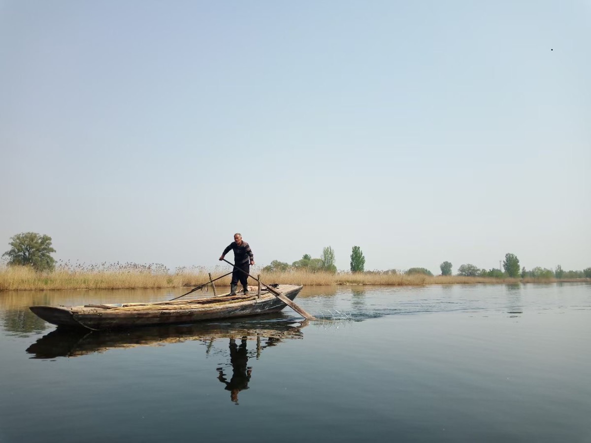 “五一”白洋淀景区暂不开放，但挡不住游人探淀热情