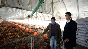 农村基层治理正青春——河南新任“90后”村支书群像扫描