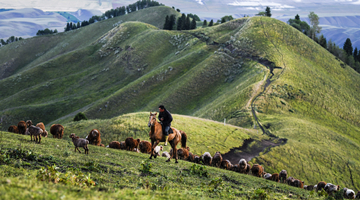 驻美大使崔天凯：美国等西方国家充斥着涉疆谎言