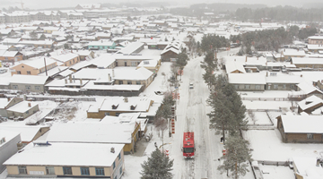 东北地区人口10年下降1101万人 国家统计局解读