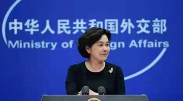 FBI设专职监督中国留学生？华春莹：匪夷所思