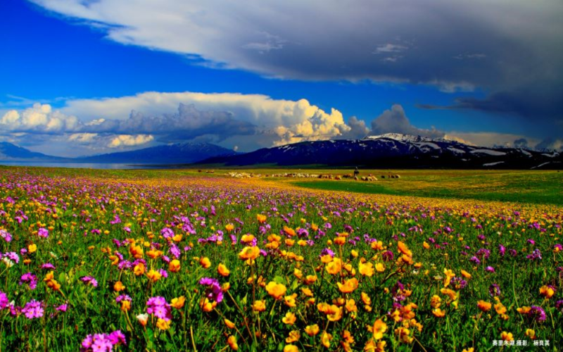 新疆赛里木湖景区丨半湖脂玉半湖蓝