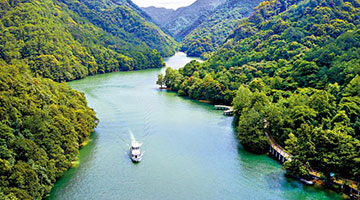 江西三百山：香港饮用水东江源头