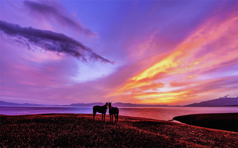 新疆赛里木湖景区