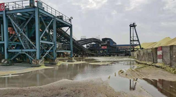 无视6份停工整改文件 广西国企毁红树林257亩