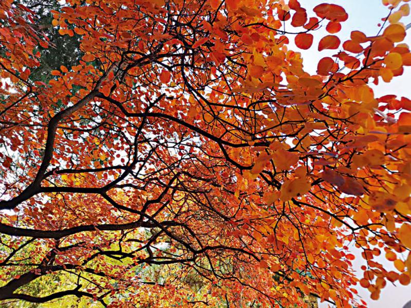 ﻿“二十八景” 空留遗址
