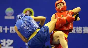 河南散打：王者之师重新上路