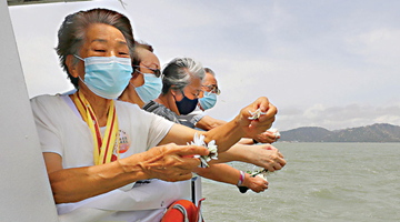 百人海祭英烈 白菊怀奠英姿