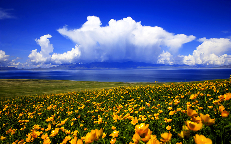 新疆赛里木湖景区