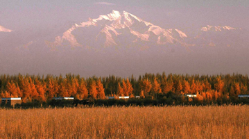 中方：所谓“维吾尔特别法庭”只有表演 没有真相