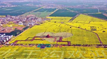 村庄规划的“留白”思考