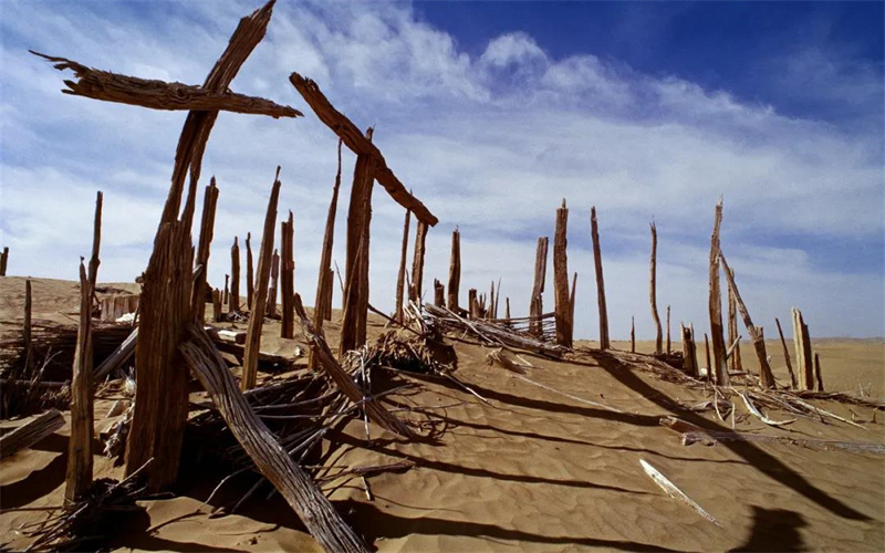 “全国十大考古新发现”新疆篇之民丰尼雅遗址