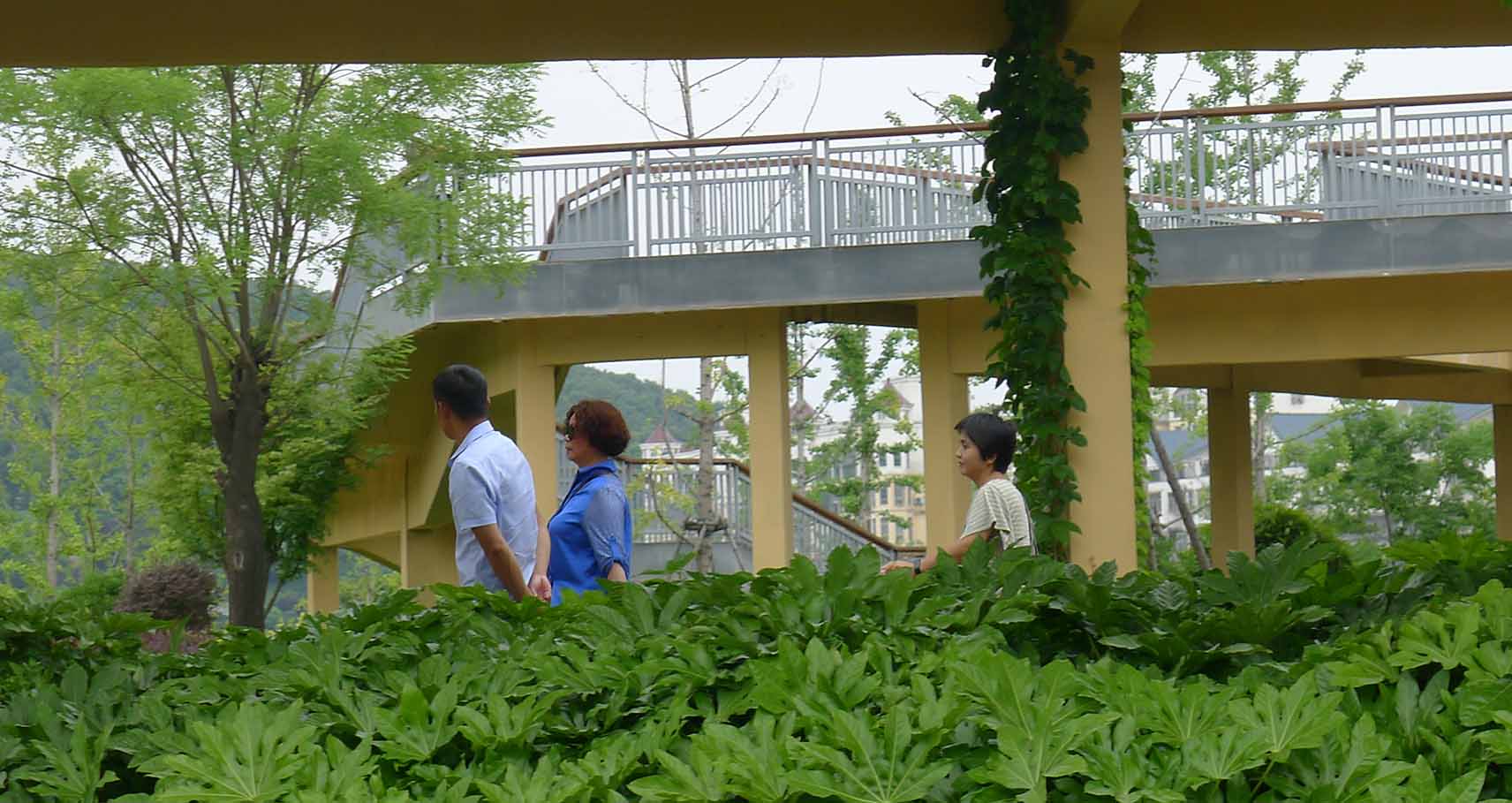 确山盘龙山公园成居民休闲健身的打卡地