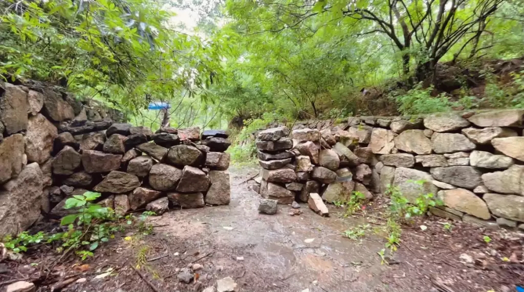 烟雨中追寻义和寨遗迹 感受革命精神传承