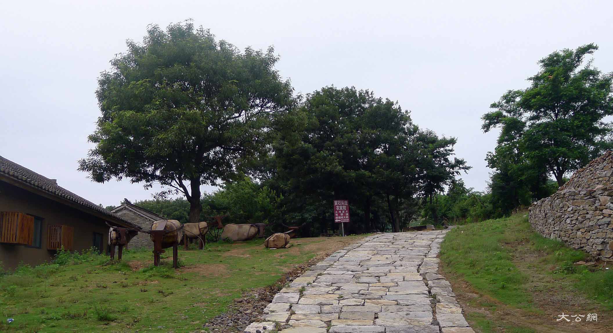 黄石头庄：最美云上之家 天中大地“香格里拉”