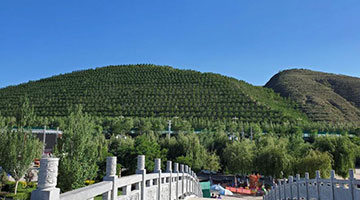 红绿金串起的会宁印象