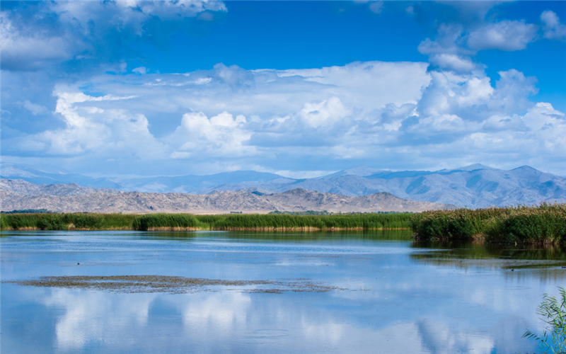 这个夏天就到可可托海来避暑