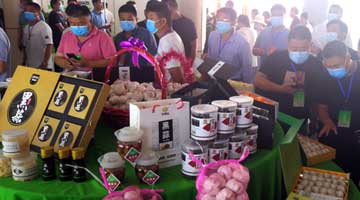 杞县大蒜还有多少新“吃”法